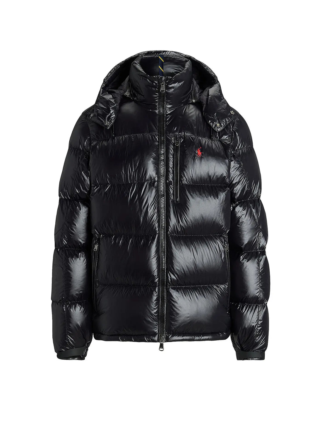 'RL' Shiny Puffer